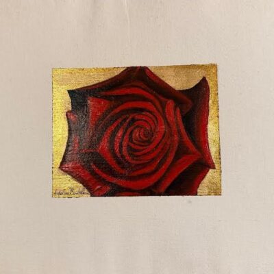 Rosa rossa di Angelisa Bertoloni