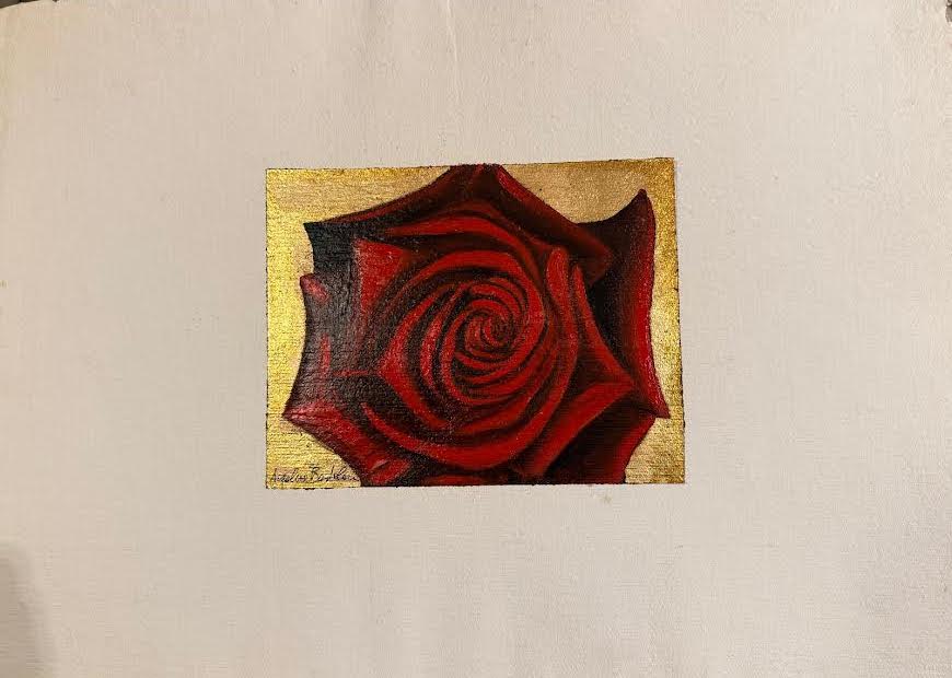 Rosa rossa di Angelisa Bertoloni